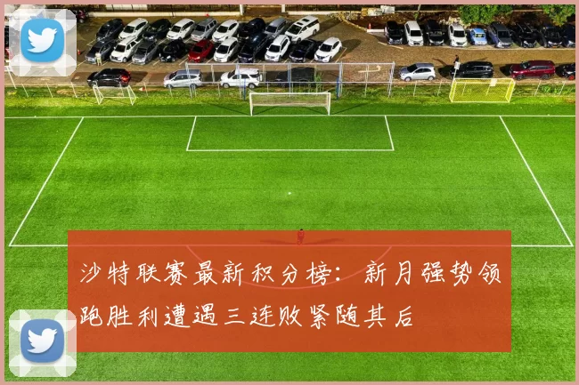 沙特联赛最新积分榜：新月强势领跑胜利遭遇三连败紧随其后