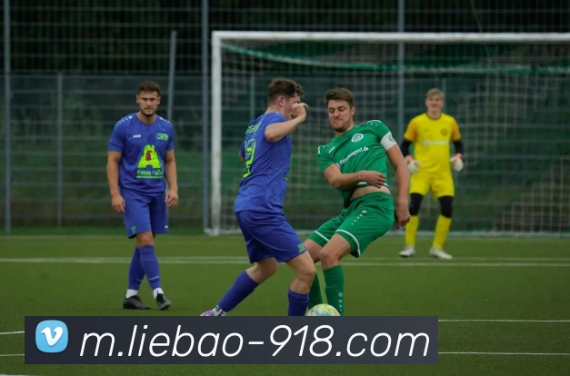 博天堂APP 体育赛事宣传图